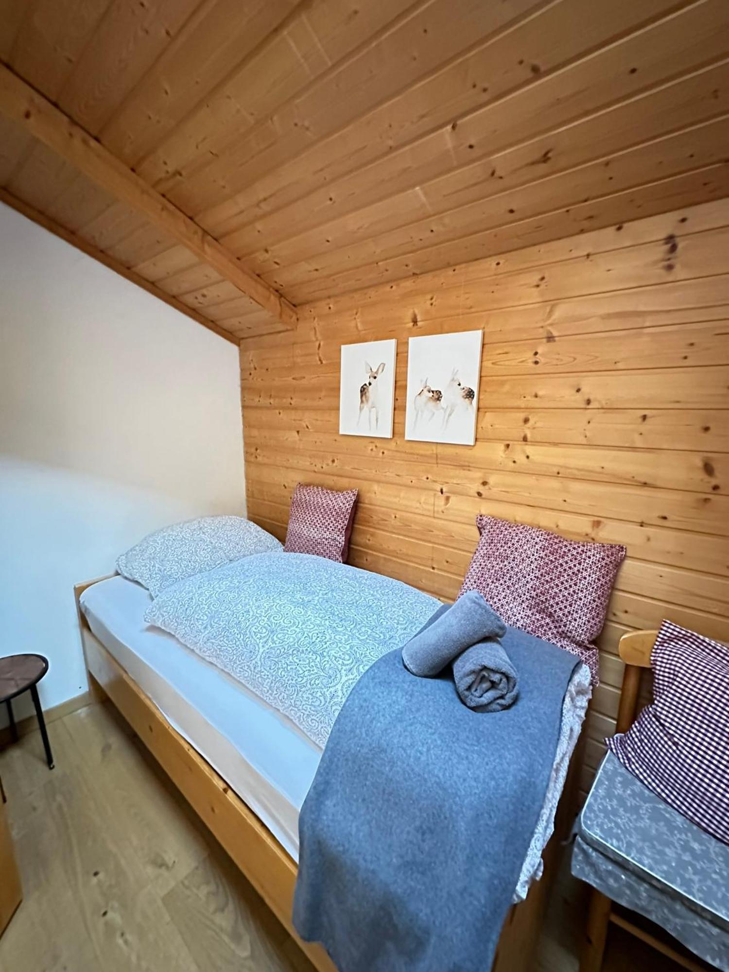 Lilly Chalet- Apartments With Private Sauna, Close To Ski Lifts Bad Kleinkirchheim Exterior photo