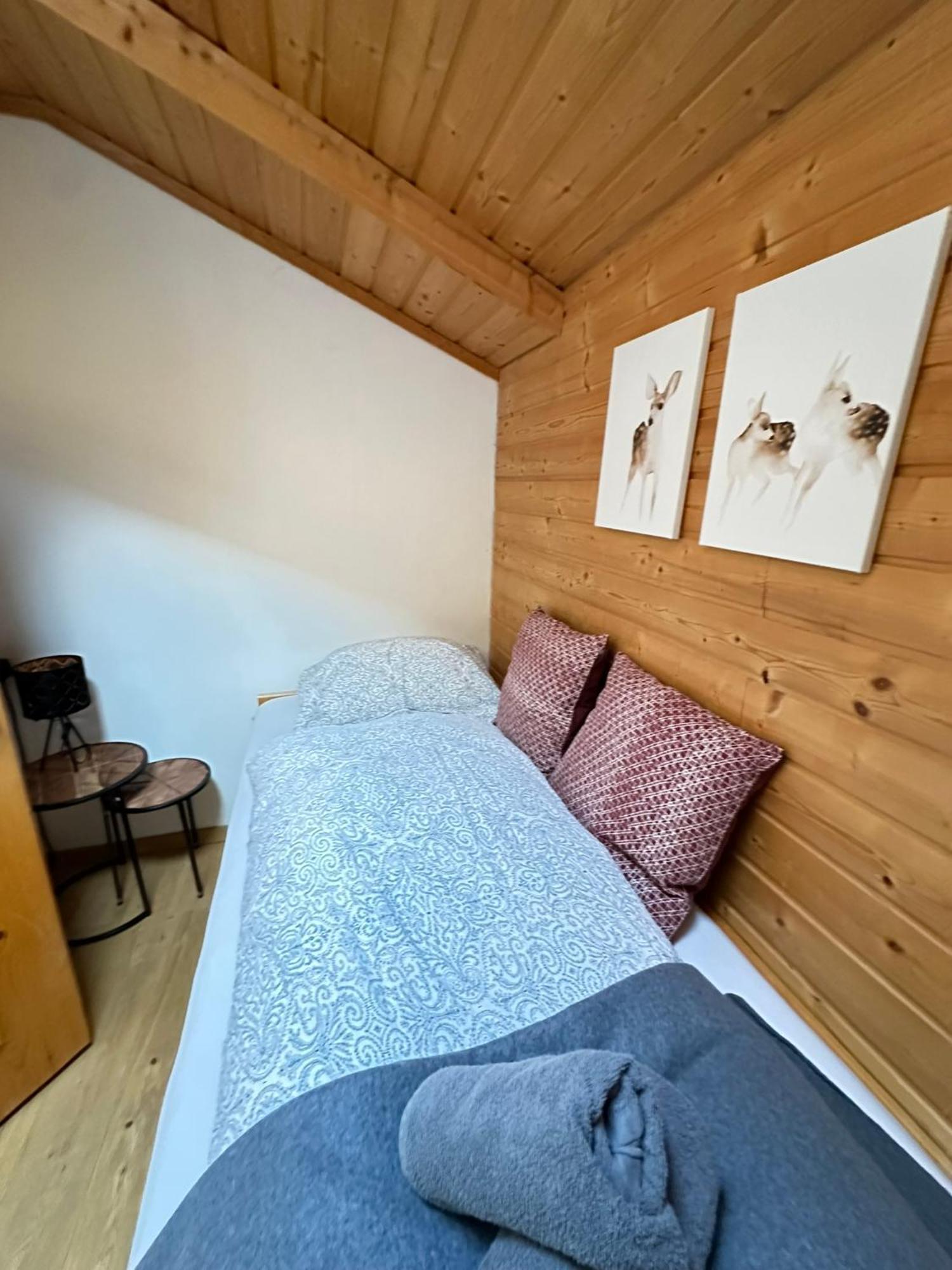 Lilly Chalet- Apartments With Private Sauna, Close To Ski Lifts Bad Kleinkirchheim Exterior photo